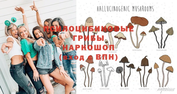 крисы Болотное