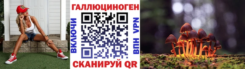 сколько стоит  Бабаево  Галлюциногенные грибы Magic Shrooms 